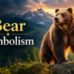 Bear Symbolism