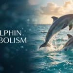 Dolphin Symbolism