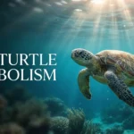 Sea Turtle Symbolism